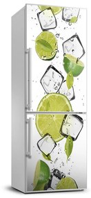 Matrica hűtőre Lime és jég FridgeStick-70x190-f-50150130