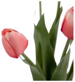 Művirág (magasság 31 cm) Tulips – Ixia