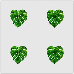 Poszterek 30x30 Monstera Lyukas levelek