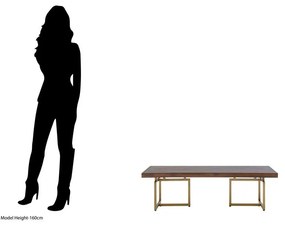 Barna kerek dohányzóasztal 60x120 cm Brando – Premier Housewares