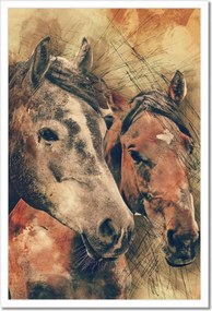 Poszterek keretben 40x60 Lófejek