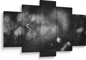 Kép - Mezei fű (150x105 cm)