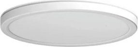 AZZARDO 5367 PANKA Kerek Mennyezeti Lámpa LED IP44