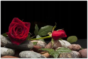 Poszterek 120x80 Spa Wellness Relaxáció Víz