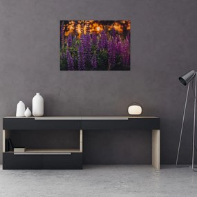 Egy csillagfürt virág képe (üvegen) (70x50 cm)