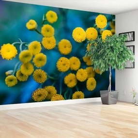 Fotótapéta sárga virágok 104x70 cm