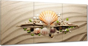 Vászonkép 180x90 Kagylók Tengeri homok