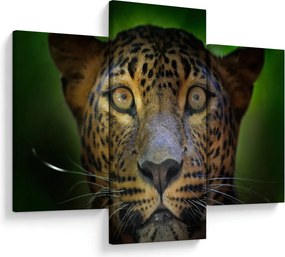 Kép - Leopárd portré, Sri Lanka (90x60 cm)