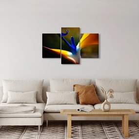 Kép - Egzotikus virág (90x60 cm)