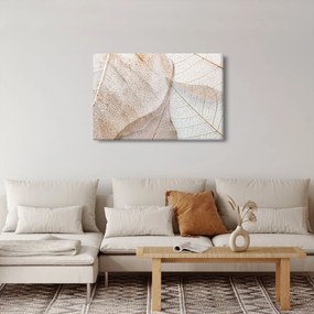 Kép - Bézs levelek (90x60 cm)