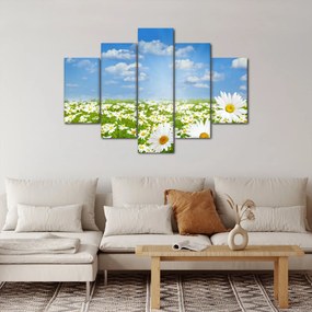 A virágzó rét százszorszépekkel képe (150x105 cm)