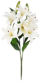 Művirág (magasság 59 cm) Lily – Ixia