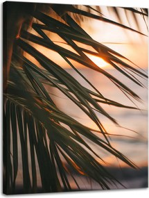 Vászonkép Természet Tengerpart Pálma Tenger Naplemente 30x40