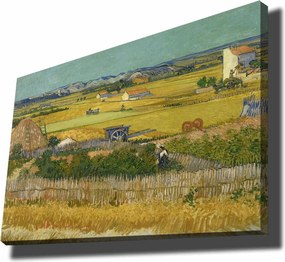 Vászonkép, 70×100 cm – 70100VANGOGH044