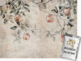 Fotótapéta Flizelina Fa Ágak Gyümölcsök Alma Retro Vintage 350x250 ragasztó
