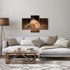 Kép - Róka az erdőben (90x60 cm)