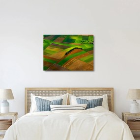Kép - Mezők, rétek (üvegen) (70x50 cm)