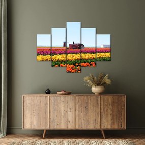 Tulipánfarm képe (150x105 cm)