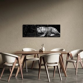 Kép - albínó tigris, fekete-fehér (órával) (90x30 cm)
