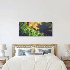 A moha képe gombával (120x50 cm)