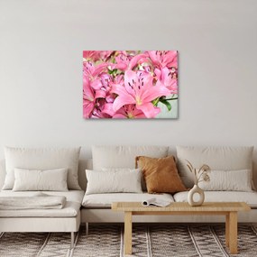 Kép - Rózsaszín liliomok (70x50 cm)