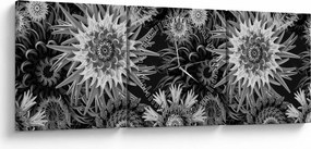 Kép - Fekete és fehér gyűszűvirág (órával) (90x30 cm)