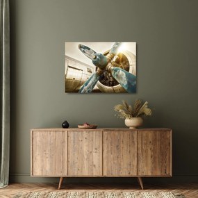 Kép - Egy régi repülőgép légcsavarja (üvegen) (70x50 cm)