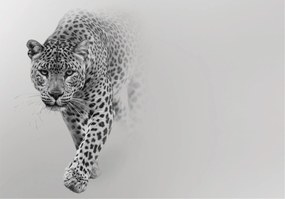 Fotótapéta Gepárd Tigris Jaguar Leopárd 3D 416x254