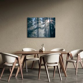 Fák képe a ragyogó nappal (70x50 cm)