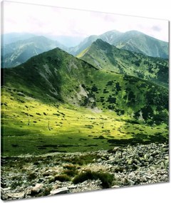 Vászonkép 60x60 Tátra Lengyel hegyek Kilátás