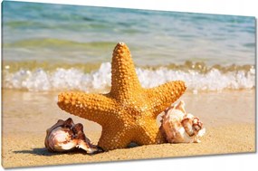 Vászonkép 120x70 Tengeri csillag és kagylók