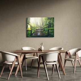 Kép - falépcsők az erdőben (üvegen) (70x50 cm)