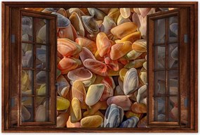 Poszterek 120x80 Színes kagylók nyomtatás