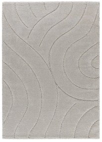 Világosszürke szőnyeg 160x230 cm Molier – Universal
