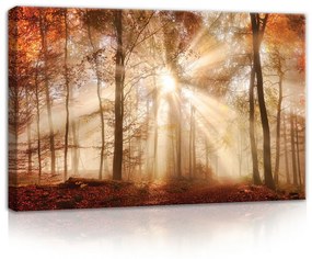 Napos őszi erdő, vászonkép, 60x40 cm méretben
