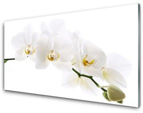 Akrilkép orchidea virágok 100x50 cm 2 fogas