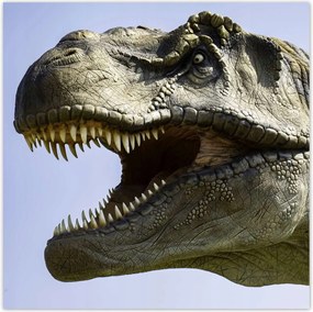 Poszterek 100x100 Tyrannosaurus portré