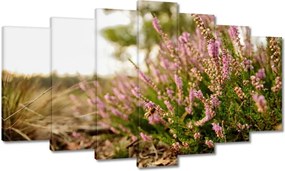 Vászonkép 140x80 Erdei láp tobozok