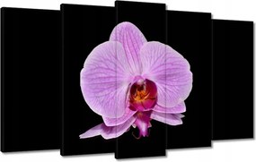 Vászonkép 100x60 Lila orchidea