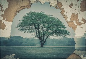 Flizelin tapéta Divatos 3D fali ragasztóval Magányos fa 152x104 Ragasztó