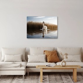 Hattyú képe (70x50 cm)