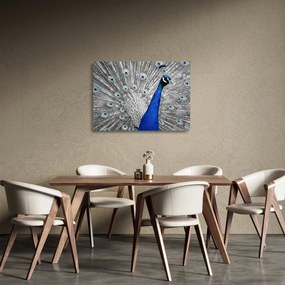 Kék páva képe (üvegen) (70x50 cm)