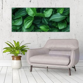 Kép - Zöld levelek (120x50 cm)