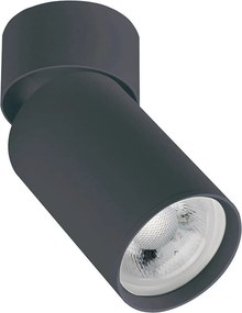 Zambelis CEILING SPOT S124 Felületi spotlámpa 1x40w/GU10 IP20