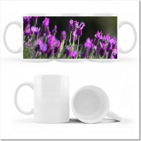 Fényképes bögre Lila virágok