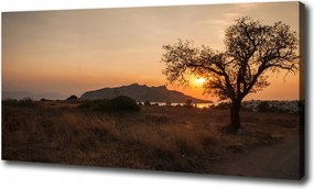 Vászonkép Naplemente 100x70 cm