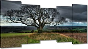 Festmények 150x80 Fa tájkép