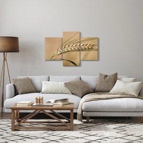 Kép - Búza (90x60 cm)