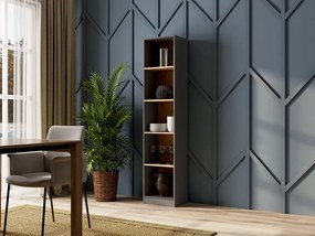 R50 polcos szekrény, antracit-tölgy