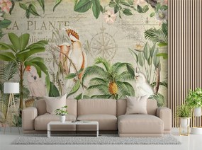 Gario Fotótapéta Négy papagáj és egy régi térkép - Andrea Haase Anyag: Vlies, Méret: 350 x 245 cm
